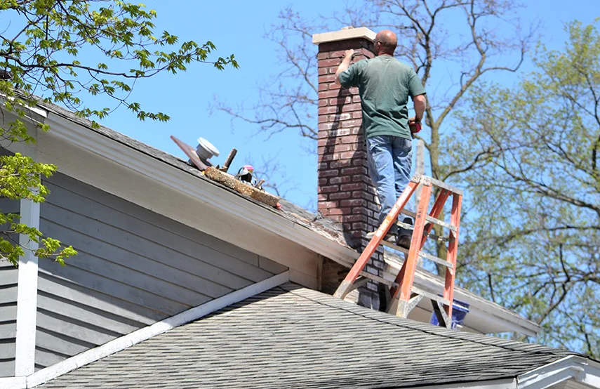 Chimney & Fireplace Inspections Services in Vacaville, CA
